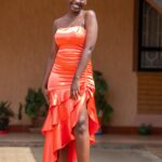 Orange Silk Dress